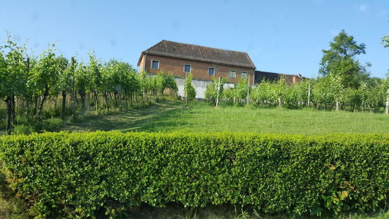 Na Off Villa Radenci Bagian luar foto